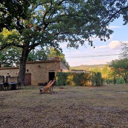 Agriturismo Torrenieri Da Alessandro Pienza Zewnętrze zdjęcie