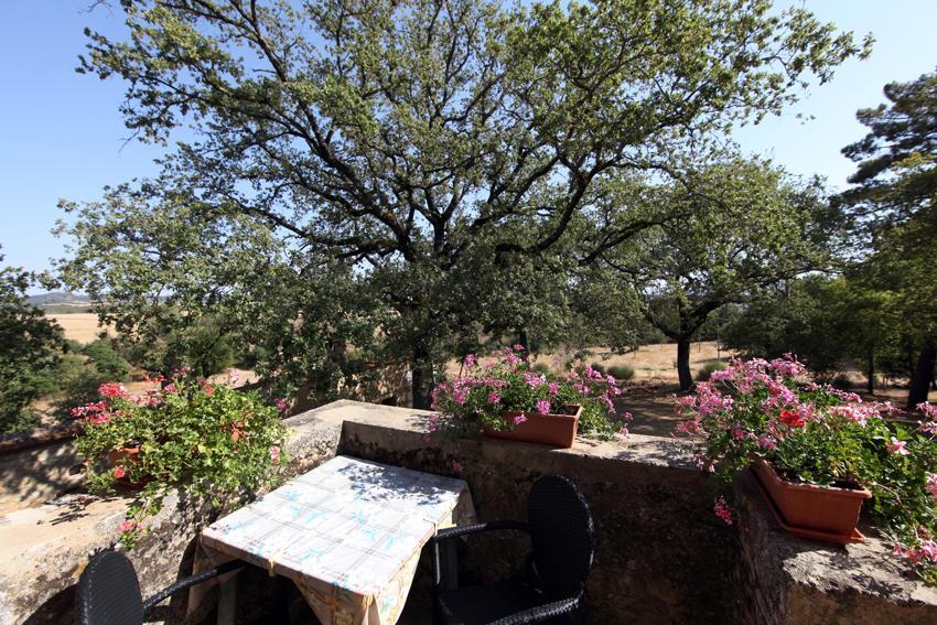 Agriturismo Torrenieri Da Alessandro Pienza Zewnętrze zdjęcie