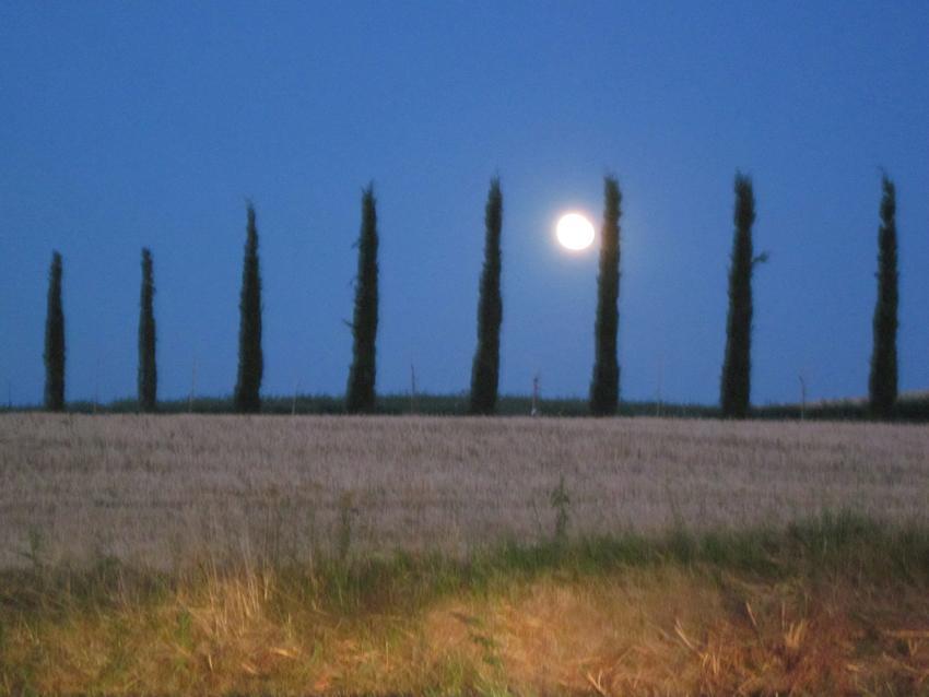 Agriturismo Torrenieri Da Alessandro Pienza Zewnętrze zdjęcie