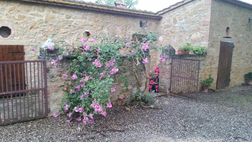 Agriturismo Torrenieri Da Alessandro Pienza Zewnętrze zdjęcie