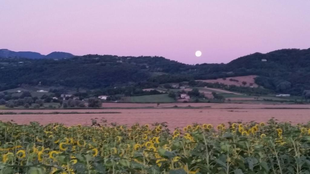 Agriturismo Torrenieri Da Alessandro Pienza Zewnętrze zdjęcie
